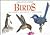 The Little Guides: Birds (Little Guides)
