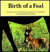Birth of a Foal (Carolrhoda Nature Watch Book) (English and German Edition)