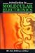 An Introduction to Molecular Electronics