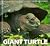 Giant Turtle (Living Things)