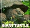 Giant Turtle (Living Things) Giant Turtle (Living Things)