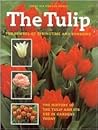 The tulip: Symbol of sun and spring
