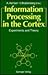 Information Processing In T...