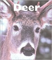 Deer (Naturebooks)