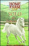 Solo the Homeless (Home Farm Twins, #3)
