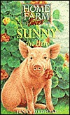 Sunny the Hero (Home Farm Twins, #7)