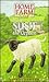 Susie the Orphan (Home Farm Twins, #4)