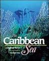Life in the Sea - Caribbean Sea