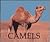 Camels : Naturebooks Series