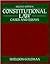 Constitutional Law: Cases and Essays (2nd Edition)