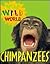 Chimpanzees (Wild Wild World)