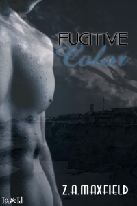 Fugitive Color (Kindle Edition)