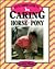 Young Rider's Guide to Caring for a Horse or Pony (Young Rider's Guides)