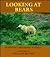 Looking at Bears