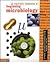 An Electronic Companion to Beginning Microbiology by John L. Ingraham