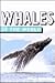 Whales of the World (Of the World Series)
