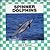 Spinner Dolphins