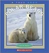 Polar Bears by Ann O. Squire