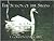 The Seasons of the Swans