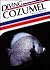 Diving Cozumel