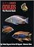 Cichlids: The Pictorial Guide Volume 1