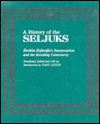 A History of the Seljuks: Ibrahim Kafesoglu's Interpretation and the Resulting Controversy (Hardcover)