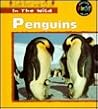 Penguins (Heinemann First Library)