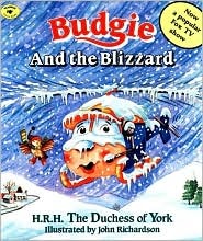 Budgie and the Blizzard (Paperback)