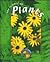 The Science of Plants (Living Science)