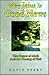 Why Jesus Is Good News - The Gospel of Mark and the Coming of... by David C. Perry