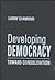 Developing Democracy: Toward Consolidation