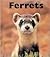 Ferrets (Naturebooks)