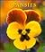 Pansies