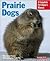 Prairie Dogs: Everything About Purchase, Care, Nutrition, Handling, and Behavior (Complete Pet Owner's Manual)