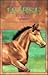 Classic Horse Stories A Heartwarming Collection of Equine Tales