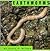 Earthworms (Animals)