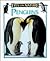 Penguins (Eyes on Nature)
