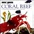 Coral Reef (Look Closer)