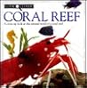 Coral Reef (Look Closer)