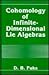 Cohomology of Infinite-Dimensional Lie Algebras (Monographs in Contemporary Mathematics)