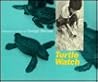 Turtle watch (A new view)