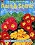 Rain & Shine (Play & Discover)