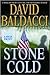 Stone Cold (Camel Club, #3)
