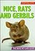 Starting With Mice, Rats and Gerbils (The Basic Pet Care Guide Series