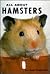 All About Hamsters