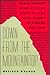 Down from the Mountaintop: Black Women`s Novels in the Wake of the Civil Rights Movement, 1966-1989