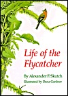 Life of the Flycatcher (Animal Natural History Series)