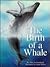 The Birth of a Whale by John Archambault
