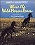 Where the Wild Horses Roam