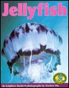 Jellyfish (Early Bird Nature Books)